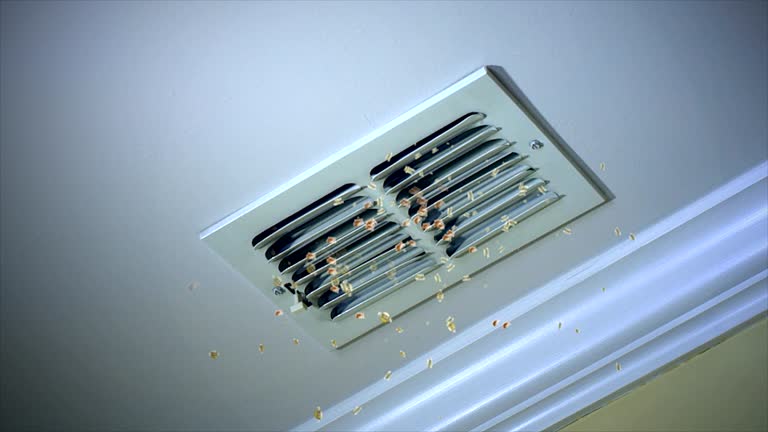 Best General Air Duct Cleaning  in River Rouge, MI