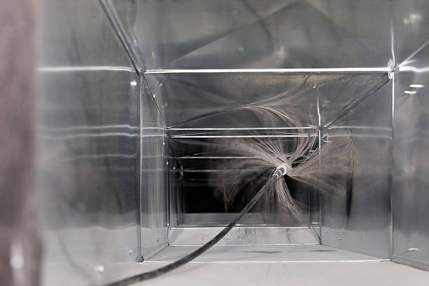 Best Air Duct Sanitizing Services  in River Rouge, MI