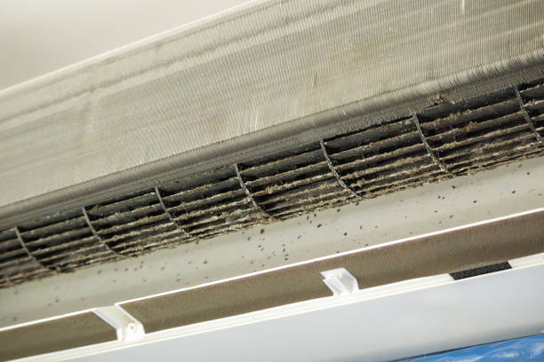 Best Affordable Duct Cleaning Services  in River Rouge, MI